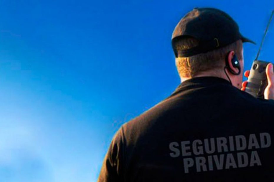 seguridad_vigilancia