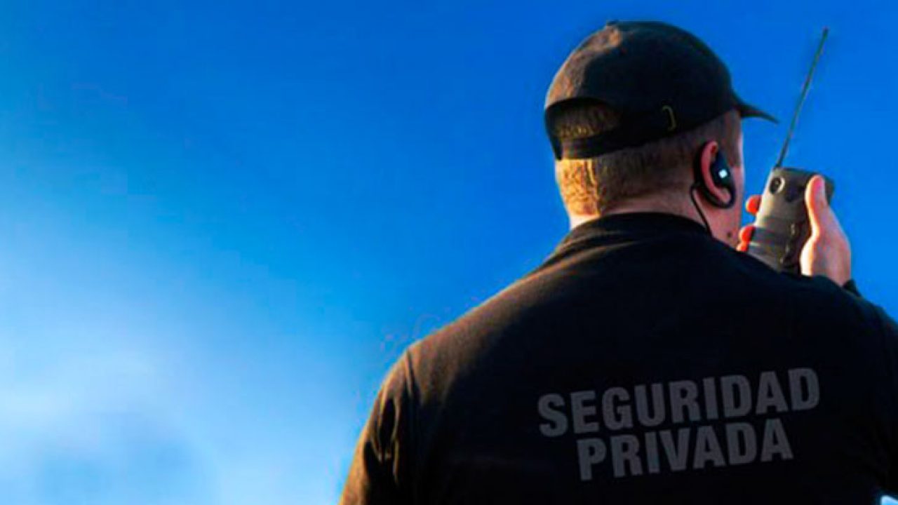 seguridad_vigilancia